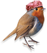 vogeltje